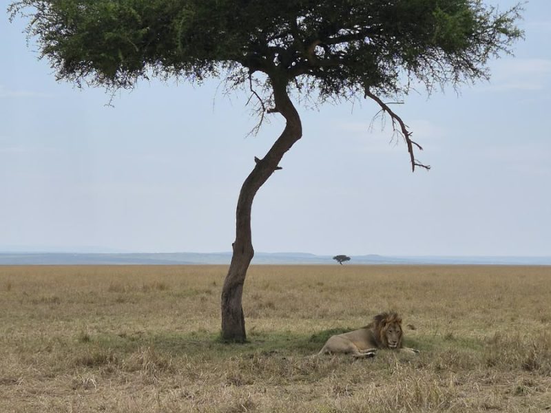 kenya 1287