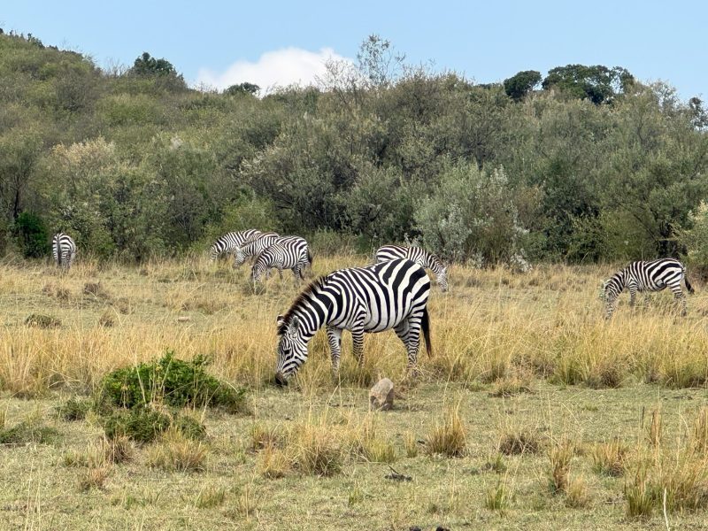kenya 2254