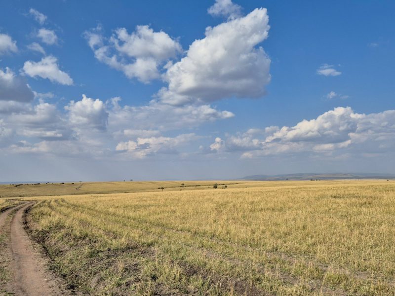 kenya 748