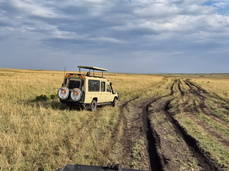 kenya 7894